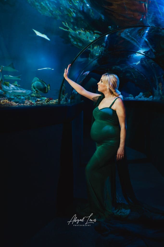 Bristol Aquarium Maternity Session